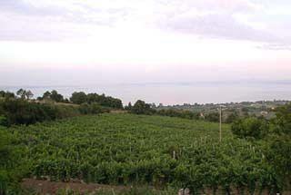 Agriturismo Belvedere Guest House Bolsena Exterior photo